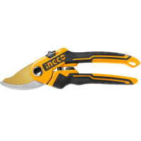 53398546.png