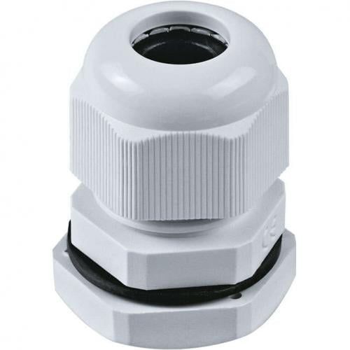 Изображение загружено из каталога картинок. //***VAD***//