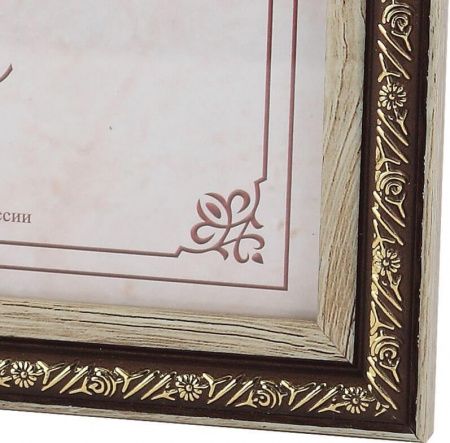 Фоторамка FA пластик Нива ольха 15х21 (30/630) Б0039931