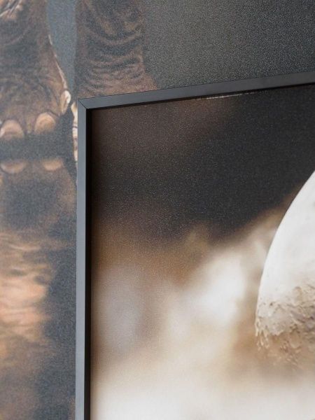 Картина Lumina Deco FP Elephant 80-120